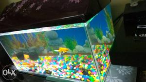 Fish tank set for sale..