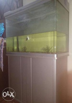 Fish tank silver with cleaning overflow motor