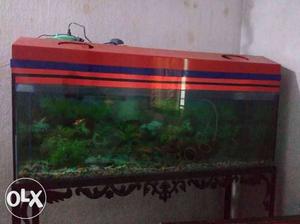 Fish tank with all fish free,stone free water