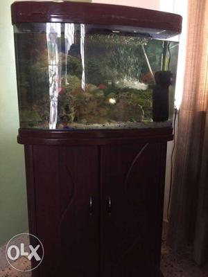 In very new condition with fish food oxygen motor