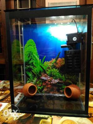 New Vertical Fish Tank with Internal Filter