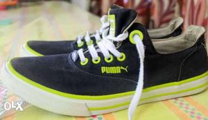 Puma new looking shoes. great condition
