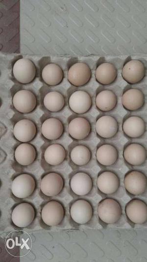 Pure country eggs for sale. no cross breeds...
