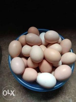 Pure gavarn egg 120 dozen 10rs per egg