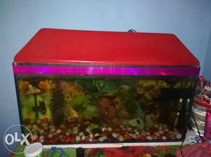 Rectangular Clear Fish Tank With Red Cover