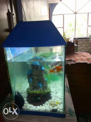 This is complete aquarium I am selling condition is mint