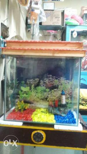  new fishtank with top cover and with