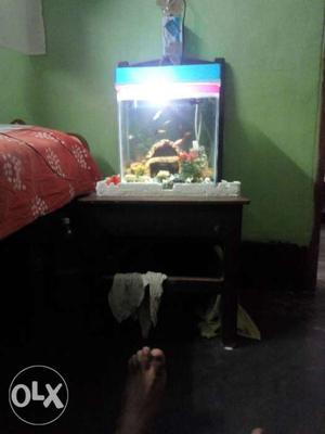 1 feet 8 month old aquarium