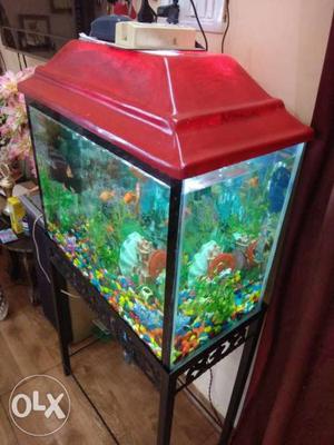 1 month old aquarium with fishes, size Length 2ft, height: