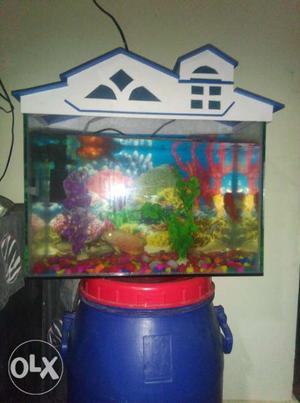 10 fhish and 1 moter and fish tank