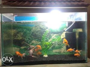 1'5 ft fish tank with cover n power filter. black