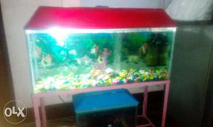 3feet aquarium only big one for sell