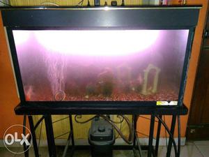 3ft quarium+external filter+sealed fish food+all fishes and