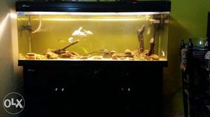 5 Feet fiber fish tank