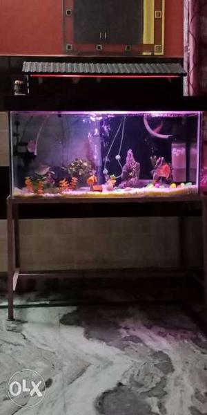 Aquarium fish tank 3 फुट लंबाई