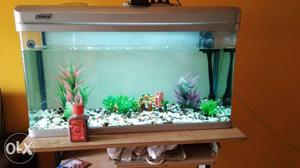 Aquarium with size 3ft × 1ft. 5Star brand bought