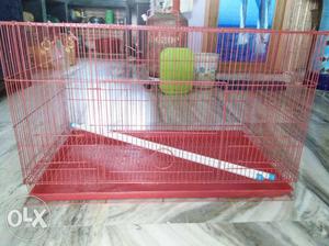 Bird's big cage