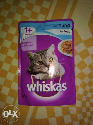 Cat food with Tuna in jelly
