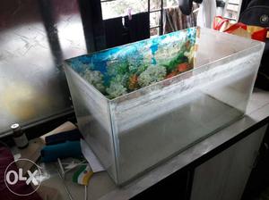 Fish Tank 1×1×2 feet good condition price