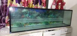 Fish Tank With Black Metal Frame