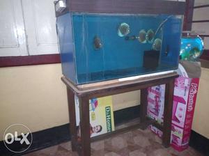 Fish tank sale 