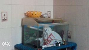 Fish tank, sand and filter u will get fish tank