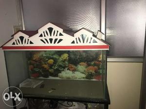 Fish tank with stand one year old mint condition