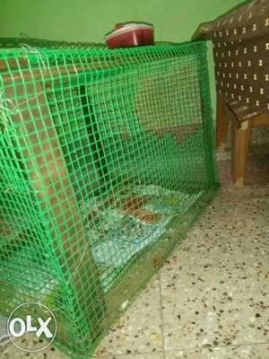 Home iron cage three month old for sale used for