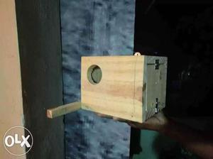 Love birds feeding box