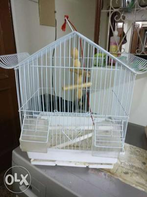 Small size cage for bird