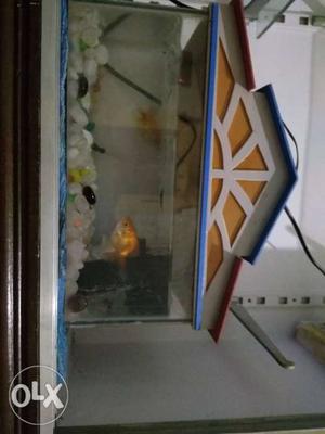 White And Brown Framed Fish Tank