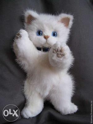 White Kitten Toy