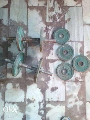 Pair Of Green Adjustable Dumbbells And Weight Plates