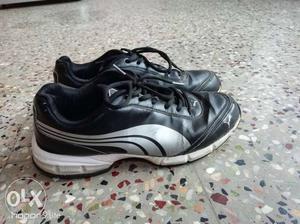 1 month used puma shoes black nd silver