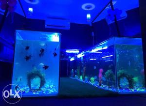 10 feets fish aquarium for sale 3 fish tank