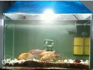 2ft acquarium with gravel and powerhead filter
