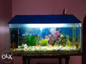 3 feet aquarium with filter and air pump and with