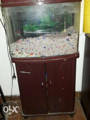 A 2feet aquarium with cabinet. Also 10kgs of