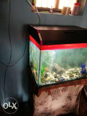 Aquarium ", with 3 different light system..