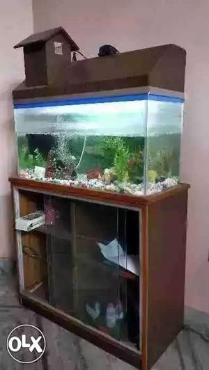 Aquarium with table free and all accessories 