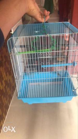 Bird cage 5 month lold