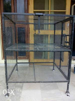 Cage For Pet Birds. Unused and New. Strong Build.
