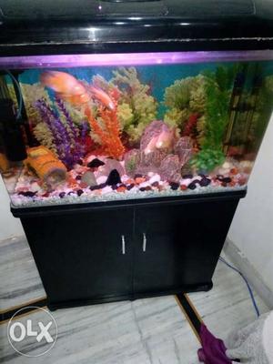 Fish Aquirem with heater pump and decorated