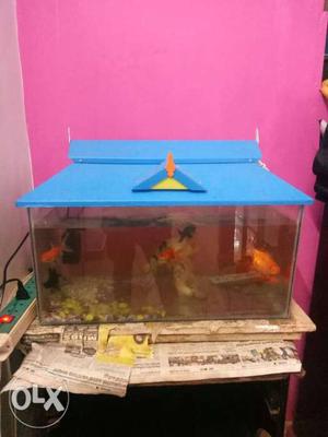 Fish Tank.. With fishes urgent sale.Very good