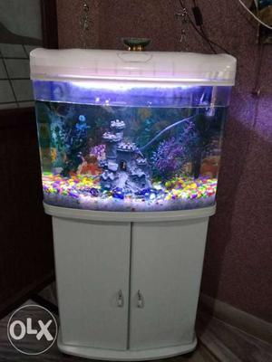 Fish aquarium In best Condition
