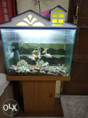 Fish aquarium with gold fish, stand, motor and