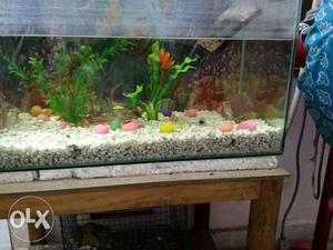 Fish tank full accessories sale no cracked no