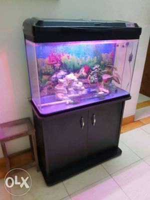 Full 2.5 feet aquarium with wooden stand.