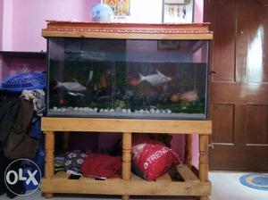 Hi friends I want to sale my new fish tank with