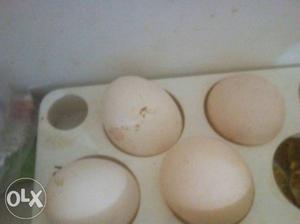 One drogen egg only Rs 144 one egg prise 12 only